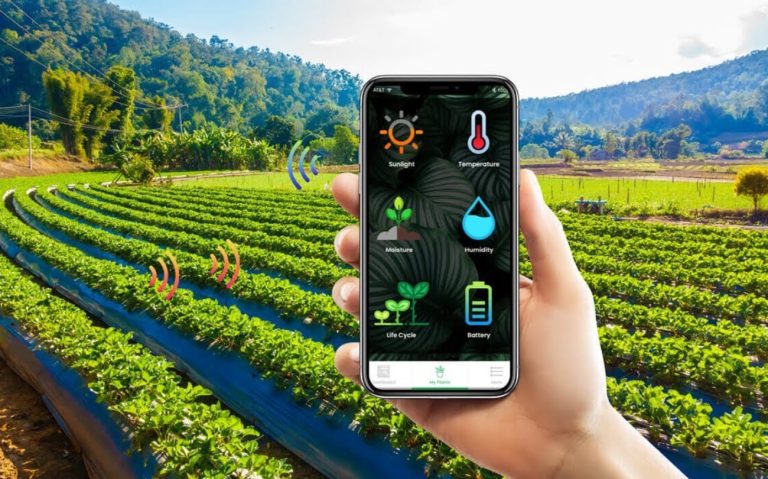 iot connectivity provider